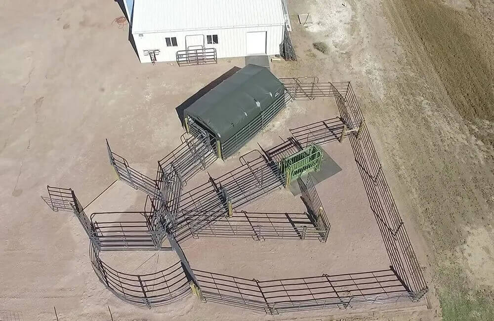 modern cattle handling facilities rose veterinary hospital canon city